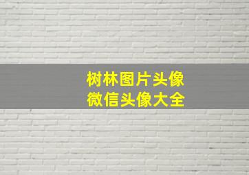 树林图片头像 微信头像大全